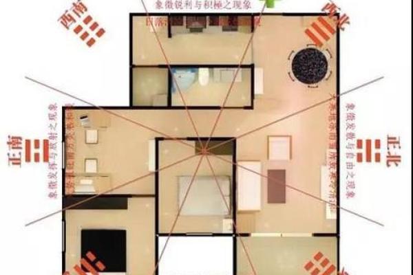 家人健康 风水 家人健康 风水