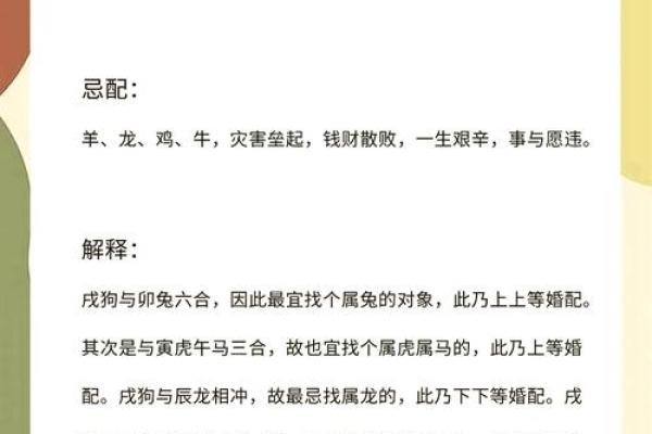 算命的说狗和猪好不好 算命的说狗和猪好不好