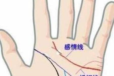 女人手相算命图解女人婚姻 婚姻线看感情生活