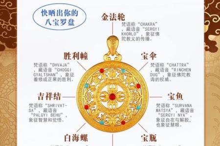 八字排盘宝免费版