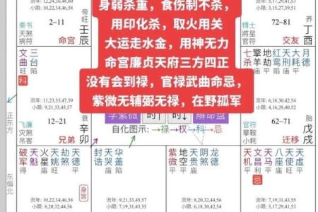 免费紫薇星斗数算命