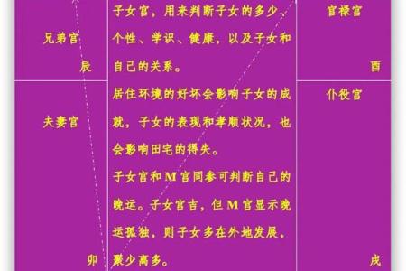 大猫紫薇斗数博客