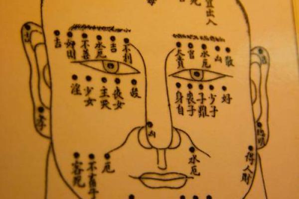 面相算命鼻子 面相算命鼻子