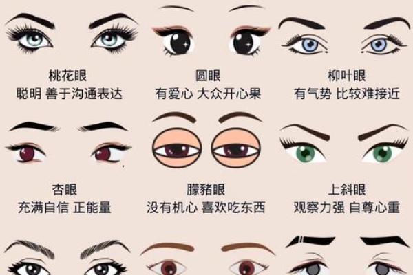 八字眉头的面相图解