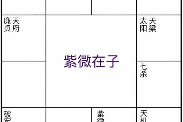 紫薇斗数怎么安天魁