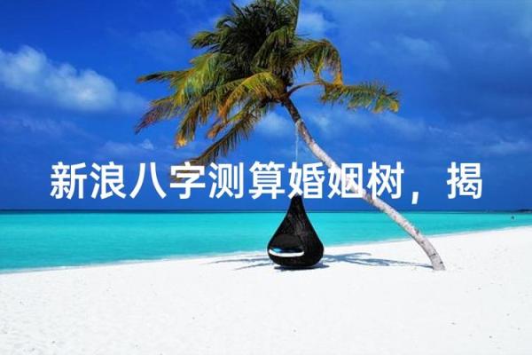 趣味八字测试婚姻树 八字测婚姻实例详解300例