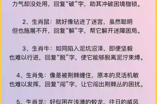 风水上哪几个生肖的人不能养猫禁忌
