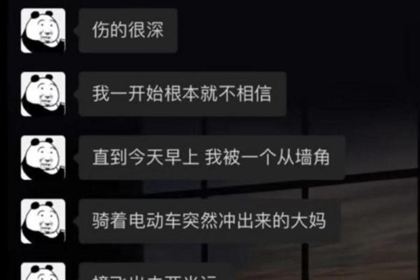 算命说我不动婚怎么办