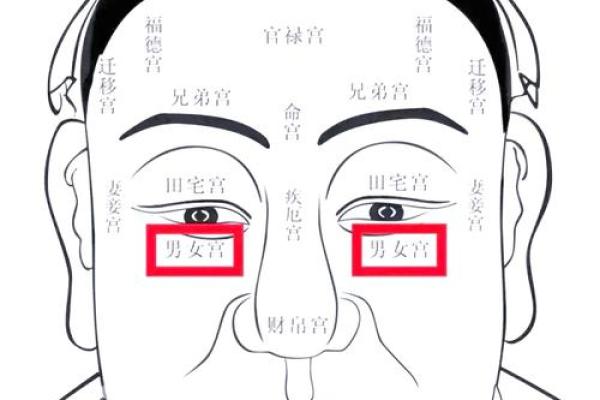 男人眉毛看相算命 男人眉毛看相算命
