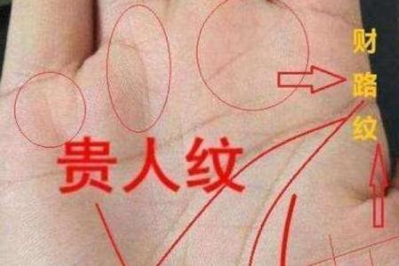 财运线是哪一条？财运线算命图解