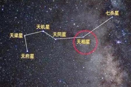预言紫薇星