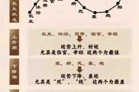 月柱长生是墓如何 八字中的墓代表什么