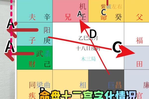 紫薇斗数地盘人盘天盘 紫薇斗数地盘人盘天盘