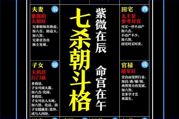 紫薇斗数地盘人盘天盘 紫薇斗数地盘人盘天盘