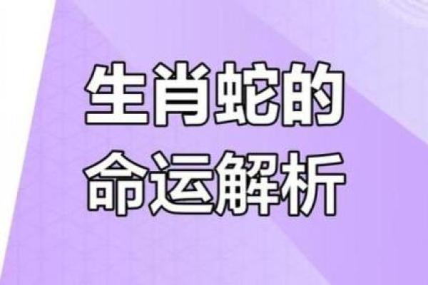 算命6月蛇好不好
