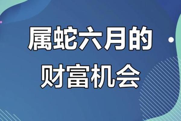 算命6月蛇好不好