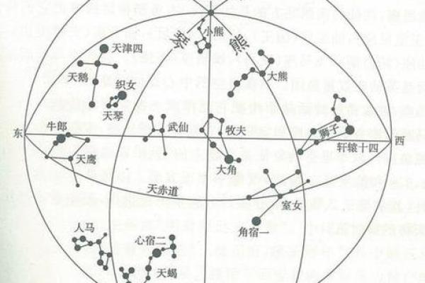 紫薇星北极星是什么龙