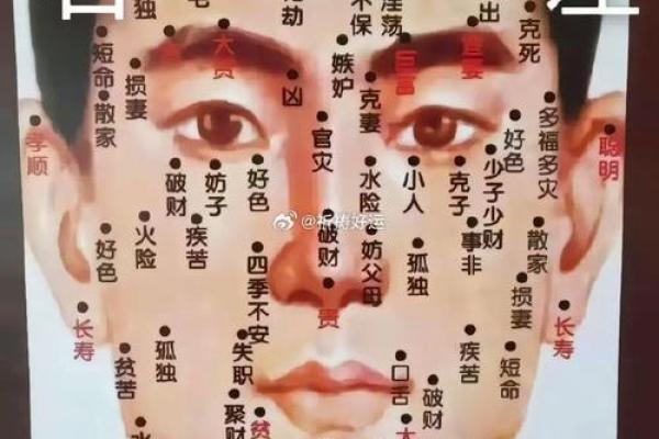 朱砂痣算命图解