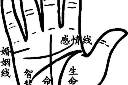 图解;手相赌运纹算命