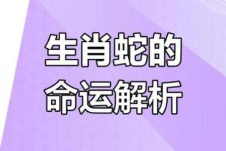 算命6月蛇好不好