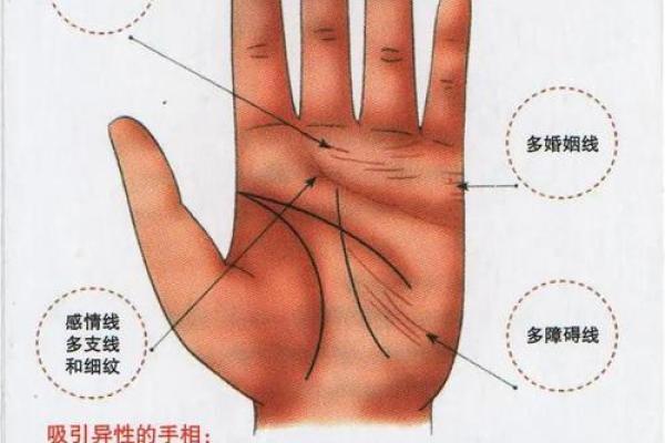 女人断掌手相算命图解