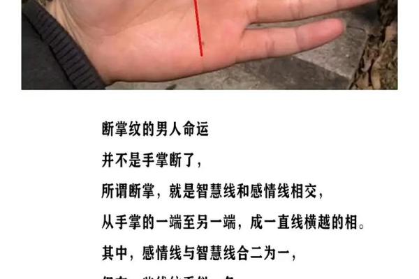 女人断掌手相算命图解