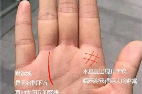 财运线算命 财运线算命