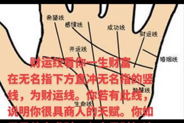 财运线算命 财运线算命