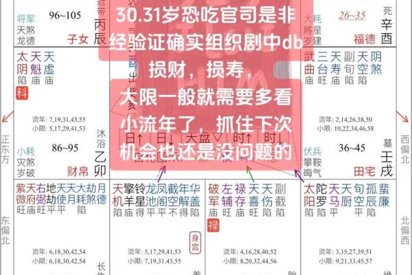 紫薇斗数财帛红鸾 紫薇斗数财帛红鸾