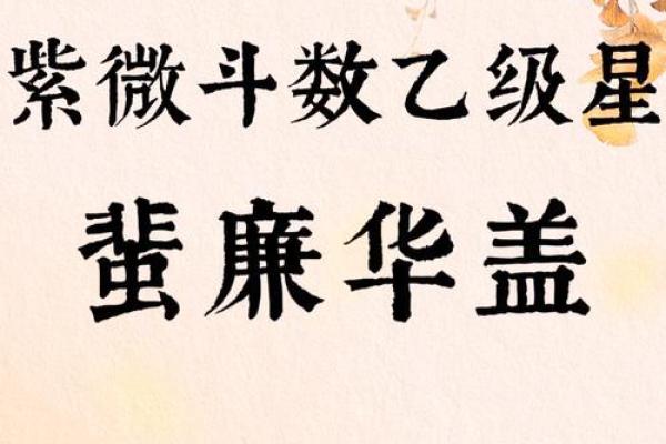 紫薇斗数流出忌 紫薇斗数流出忌