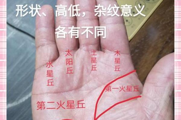 手相指纹算命图解