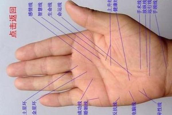 手相指纹算命图解