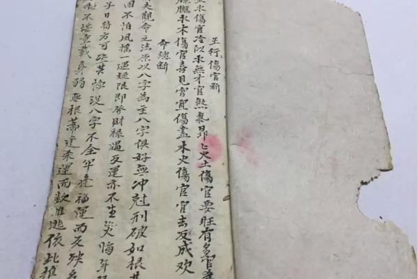 正版麦玲玲算八字语对话