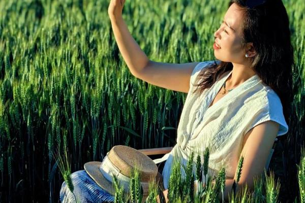 芒种前出生好还是芒种后 2024年芒种出生人的八字