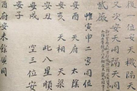 紫薇斗数斗君的作用