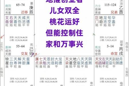 紫薇斗数财帛红鸾