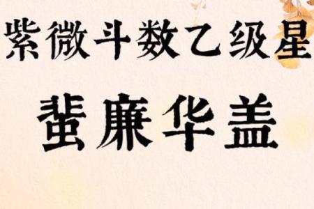 紫薇斗数流出忌