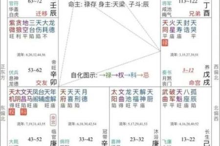 紫微斗数之后天运势－－岁限的分析推断：大限分析推演的基本方法