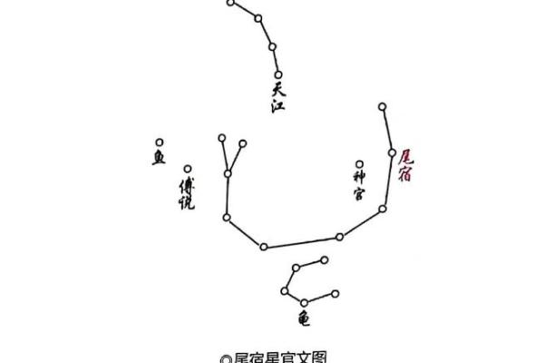 紫薇星在北斗九星中的位置