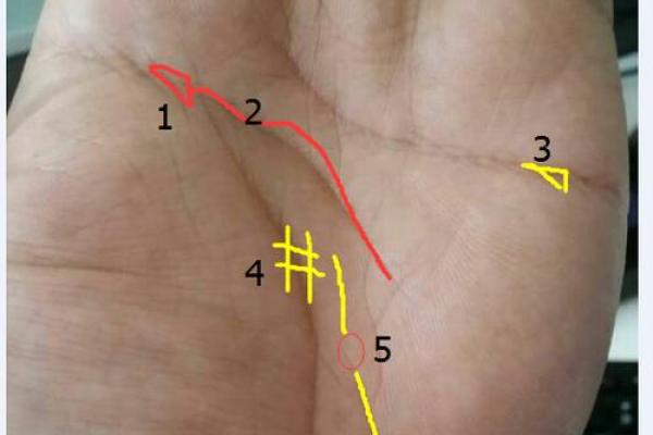 AI看面相 免费看手相,淘宝、朋友圈和微博上的算命先生到底有多野? AI看面相 免费看手相,淘宝、朋友圈和微博上的算命先生到底有多野?