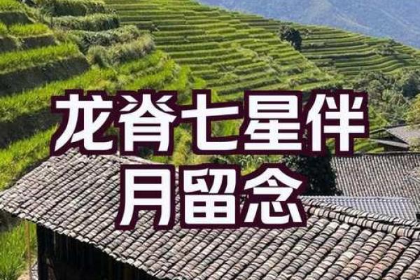 风水题留_桂林七星伴月留题诗