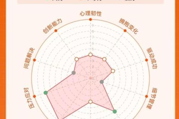 神准测试-你如何获得成功? 神准测试-你如何获得成功?