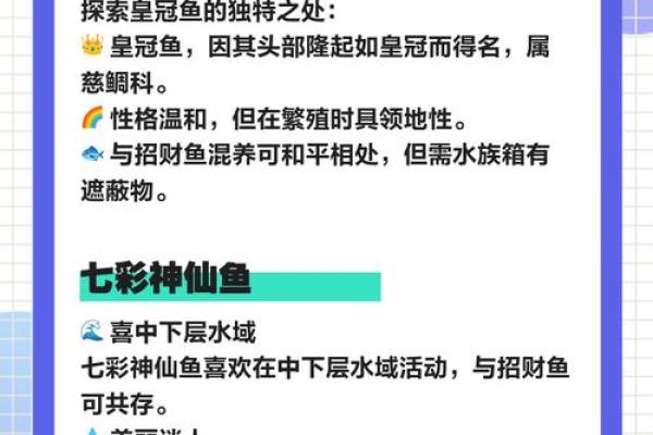 风水观点养鱼养几条旺财风水 风水观点养鱼养几条旺财风水