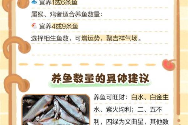 风水观点养鱼养几条旺财风水 风水观点养鱼养几条旺财风水