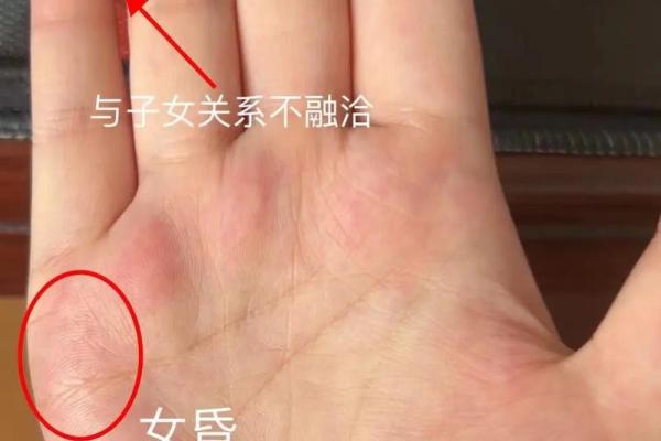 女性左手掌纹手相算命准吗