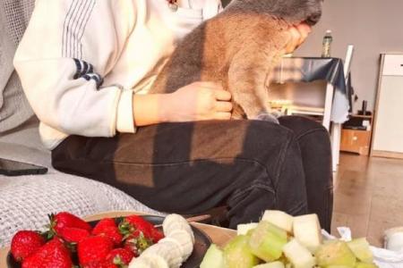 算命说我的前世是狐仙