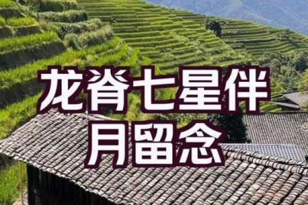 风水题留_桂林七星伴月留题诗