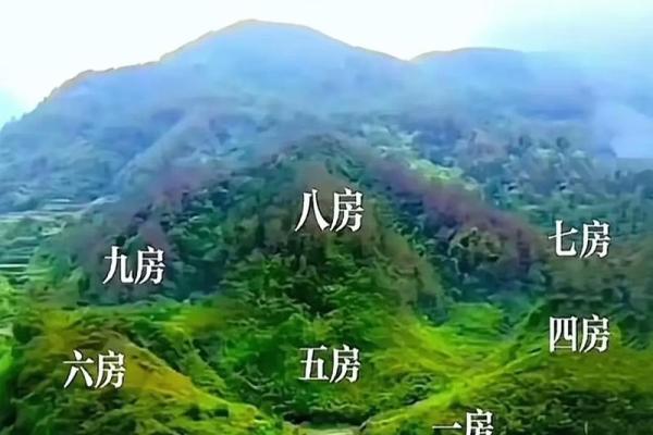 视频房子风水讲解图解