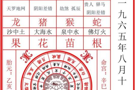 八字中的癸水命理