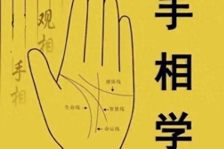 看手相算命大师免费下载